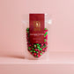 Red Label Rosy Apples Tiny Tots, boiled sweets lollies, made in Melbourne, Australia